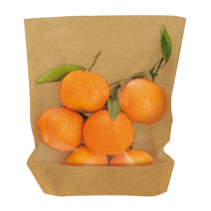 BOLSAS SOBRE KRAFT TURTLE 20X24/21X3,5 100U