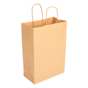 BOLSA PAPEL KRAFT ASA RETORC. 20+10X29CM 250U