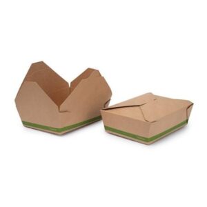 CAJA AMERICANA BTK 1900ML 50U